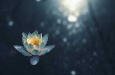 Sådan anvender du saltlamper til meditation og afslapning